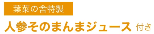 葉菜の舎特製人参そのまんまジュース付き