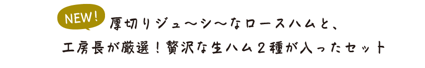 厚切りジュ～シ～なロースハムと、工房長が厳選！贅沢な生ハム２種が入ったセット